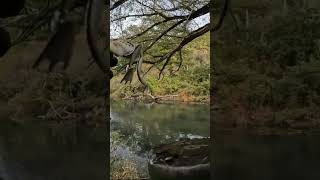 🧲 BEST LURE FOUND MAGNET FISHING Discovered in Pennsylvania Grand Canyon in Pine Creek Awesome 🧲🧲 [upl. by Adnuahsar904]