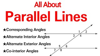 All about Parallel Lines  Corresponding Angles Alternate interior angles Cointerior angles [upl. by Micheil]