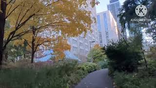 Discover Beside the Manulife Building [upl. by Keen]