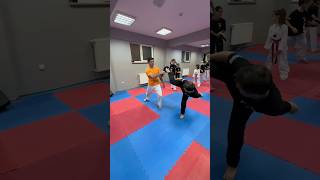 taekwondo karate martialarts poomsae mma tkd judo blackbelt sports kickboxing acrobatics [upl. by Engedus172]