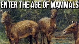 Dawn of the Age of Mammals [upl. by Yvon]