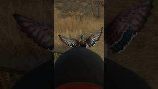 Easy Mallard Shot in Hunter Call of the Wild gaming hunting [upl. by Hannie131]