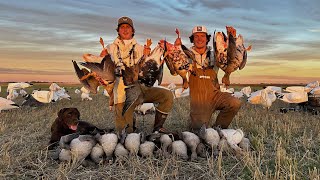 Specklebelly Goose Hunting in WHITES in Alberta Juvie Soup [upl. by Moran]