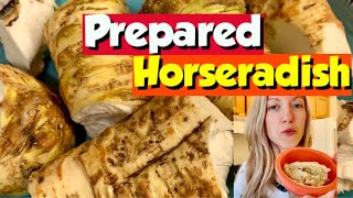 Prepared Horseradish Homemade Horseradish Recipe [upl. by Gorlin]