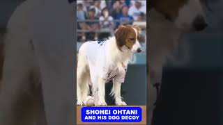 SHOHEI OHTANI and his DOG DECOY with the first pitch [upl. by Rosita]