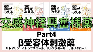 【交感神経興奮様薬】β受容体刺激薬直接型・間接型 サルブタモール、サルメテロール、リトドリン、クレンブテロール、イソプレナリン、ドブタミン、デノパミン 薬剤師国家試験 [upl. by Belvia]