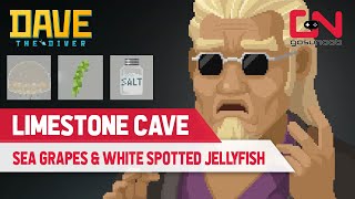 How to Get Sea Grape Salt amp White Spotted Jellyfish in Dave the Diver  Limestone Cave Location [upl. by Ynej722]