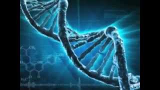 How does DNA Testing work [upl. by Schwinn]