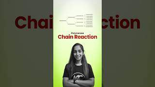 Polymerase Chain Reaction PCR [upl. by Nahs]