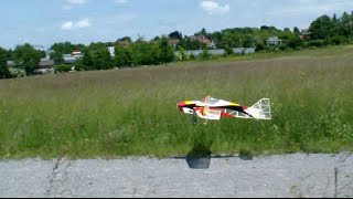 Transparent RC Wood Airplane and 100 of Bees in the Air ZH Summer 2015 [upl. by Ainesey495]