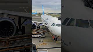 Jetblue airplane at Schiphol Airport Amsterdam 🇳🇱 netherlands amsterdam shorts Jetblue [upl. by Nawtna]