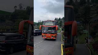 tet tet tet tet basuri viral pada masanya bus Eti Trans “MINIONS” telolet basuri busmania [upl. by Yeldnarb]