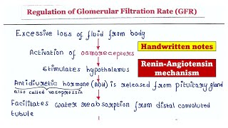 Regulation of glomerular filtration rate GFR [upl. by Waldman]