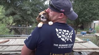 South Carolina Puppy Mill Rescue [upl. by Lellih673]