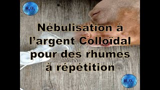 🔵 NÉBULISATION A LARGENT COLLOÏDAL POUR RHUMES A REPETITION [upl. by Avery]