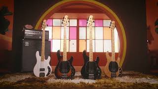 Ernie Ball Music Man The Retro 70s StingRay Bass Guitar [upl. by Bobina524]