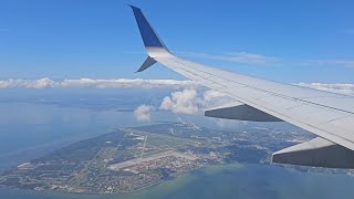 Copa Airlines Boeing 737800 Landing  Tampa International Airport [upl. by Ekusuy331]