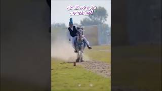 All pakistan horse riding Mela best performance by Alkabeer club best rider award [upl. by Dalia]