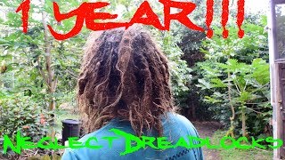 1 Year Neglect Dreadlocks [upl. by Dov]