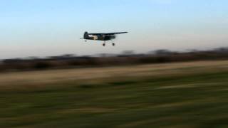 Durafly Fieseler Fi 156 Storch [upl. by Noiek]