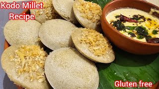 Millet Idli ll Kodo Millet Idli Recipe ll Healthy Breakfast Recipe [upl. by Aylad]