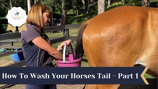 How To Wash Your Horses Tail Part 1  The Outlook Riding Academy [upl. by Nev]