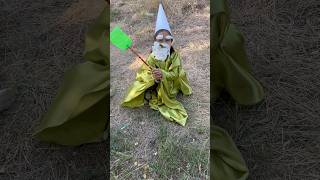 Gnomes vs knight✊✊💪💪gnome gnomedecor 2024 wizard gnomesgarden [upl. by Ymrej]