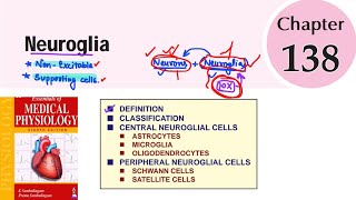 Neuroglia  Ch138  Neurophysiology  sembulingam physiology [upl. by Odnuges]