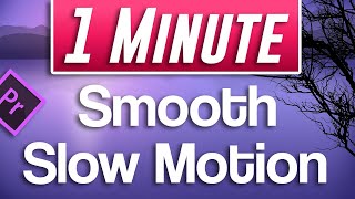 Premiere Pro  Smooth Slow Motion Tutorial With 30fps footage [upl. by Hameean]