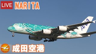 🔴LIVE at NARITA International Airport Plane Spotting 20231029 成田空港ライブカメラ 成田空港 NRTRJAA [upl. by Cruz971]