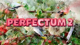 Perfectum 2 Effect in Adobe Photoshop CC 2019  Tutorial [upl. by Haimehen]