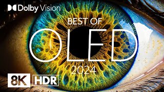 BEST OLED 2024  DOLBY VISION® 8K HDR [upl. by Atte]