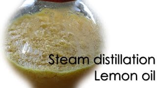 Steam distillation  Lemon essential oil 🍋 [upl. by Nadeau]