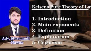 Pure theory of Law by Hans Kelsen  Grundnorm Basic Norm Video Lecture in Urdu \ Hindi [upl. by Savell]