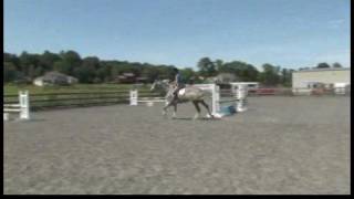 Horse Care amp Riding  How to Canter Your Horse [upl. by Schlicher]