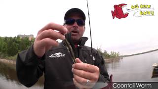 Big Bite Baits Russ Lane  Coontail Worm wJeff Kriet [upl. by Zehc]