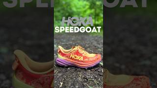 Hoka Speedgoat  Comparing Version 5 vs 6  Minor Updates Big Impact shorts shoes running [upl. by Tasia]