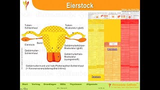 Eierstock und Hoden  HelmutPilharGHk [upl. by Frulla]