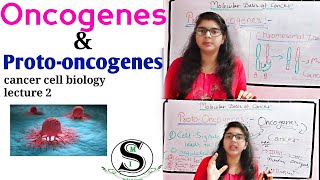 Oncogenes and Proto Oncogenes \ Oncogenes biochemistry \ Molecular basis of Cancer [upl. by Zina]