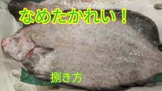 魚の捌き方ナメタガレイ捌き方 [upl. by Retepnhoj]