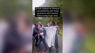 AntiIsrael Harvard protesters gang up on Jewish student [upl. by Anaerdna]