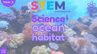 Ocean Habitats  Science For Kids Year 2  STEM Home Learning [upl. by Alene]