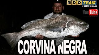 Como hacer una linea para Corvina Negra blackdrum miraguaia [upl. by Brendin848]