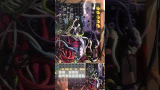 music modularsynth synth eurorack synthesizer livemodular [upl. by Paddy440]