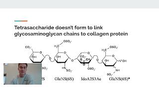 Faulty Glycosylation and EhlersDanlos Syndrome [upl. by Sadick]