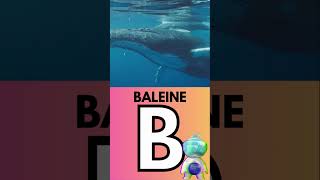 apprendre Lalphabet des animaux Lettre B shortsvideo maternelle baleine [upl. by Nedearb]