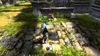 Dragon Nest 1 vs 1 PVP [upl. by Erbma935]