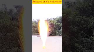 sodium in water shorts experiment [upl. by Ymmot]