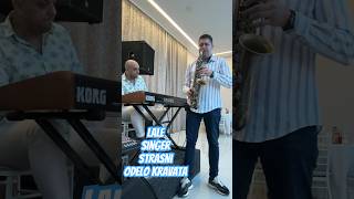 LALE  SINGER  STRASNI  ODELO KRAVATA live music uzivo milanstrasni livemusic [upl. by Eillehs]