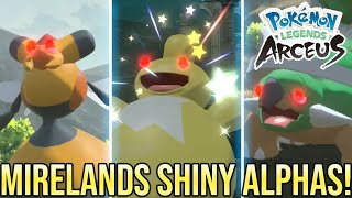 BEST Route for SHINY ALPHA Pokemon Crimson Mirelands  Pokemon Legends Arceus [upl. by Niwri372]